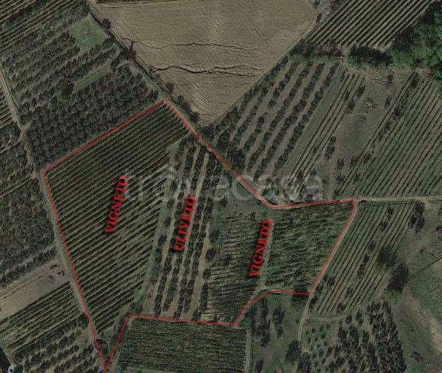 immagine annuncio 7 di 14