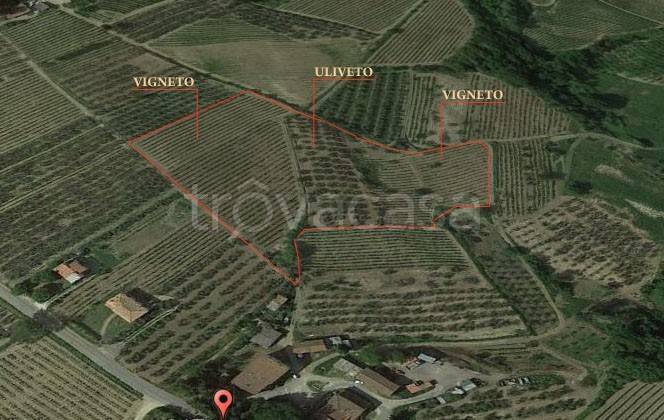 immagine annuncio 4 di 14