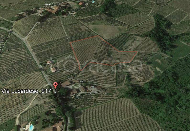 immagine annuncio 6 di 14