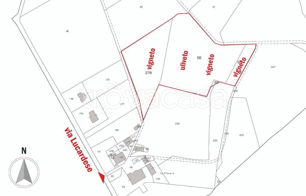 immagine annuncio 13 di 14