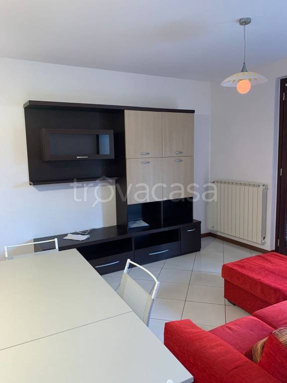 immagine annuncio 1 di 12