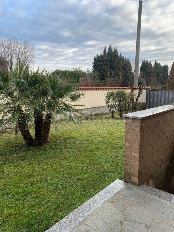 immagine annuncio 11 di 12