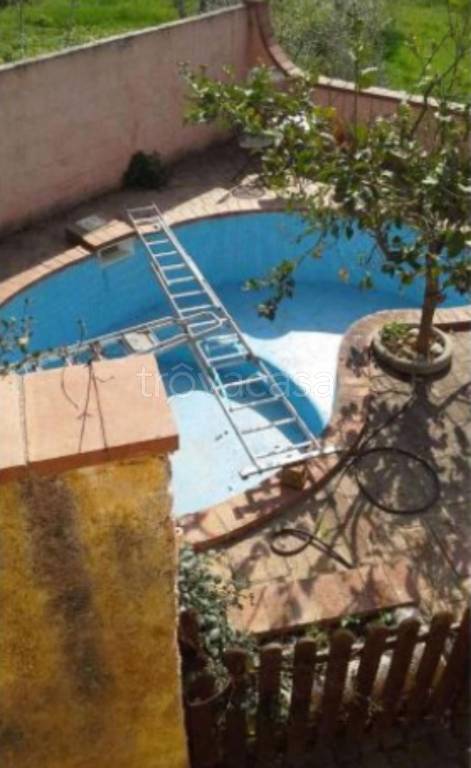 immagine annuncio 9 di 12