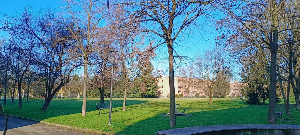 immagine annuncio 6 di 9