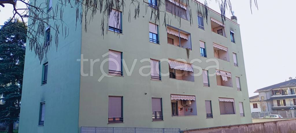 immagine annuncio 7 di 9