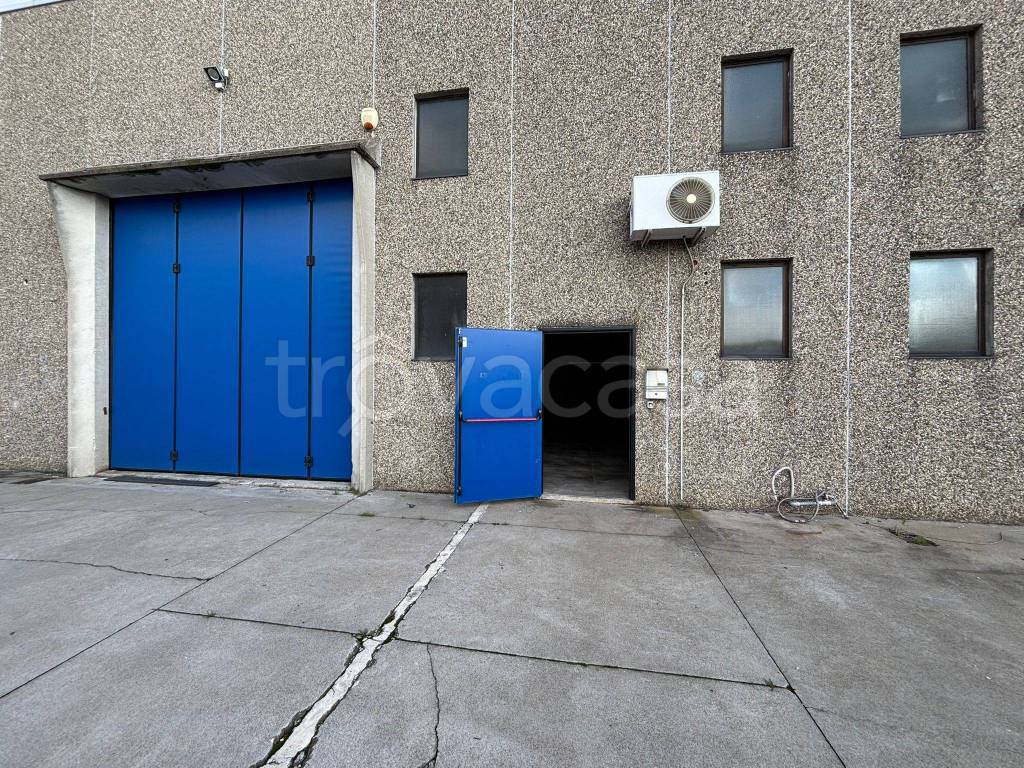 immagine annuncio 2 di 8