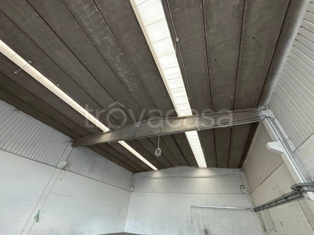 immagine annuncio 3 di 8