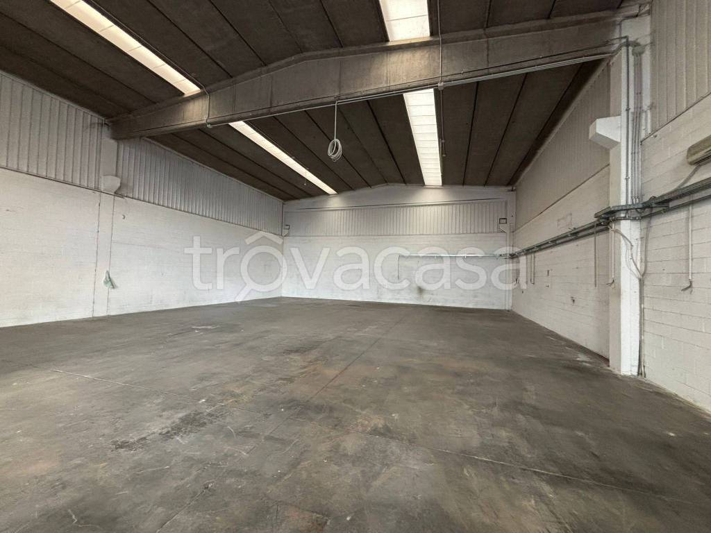 immagine annuncio 4 di 8