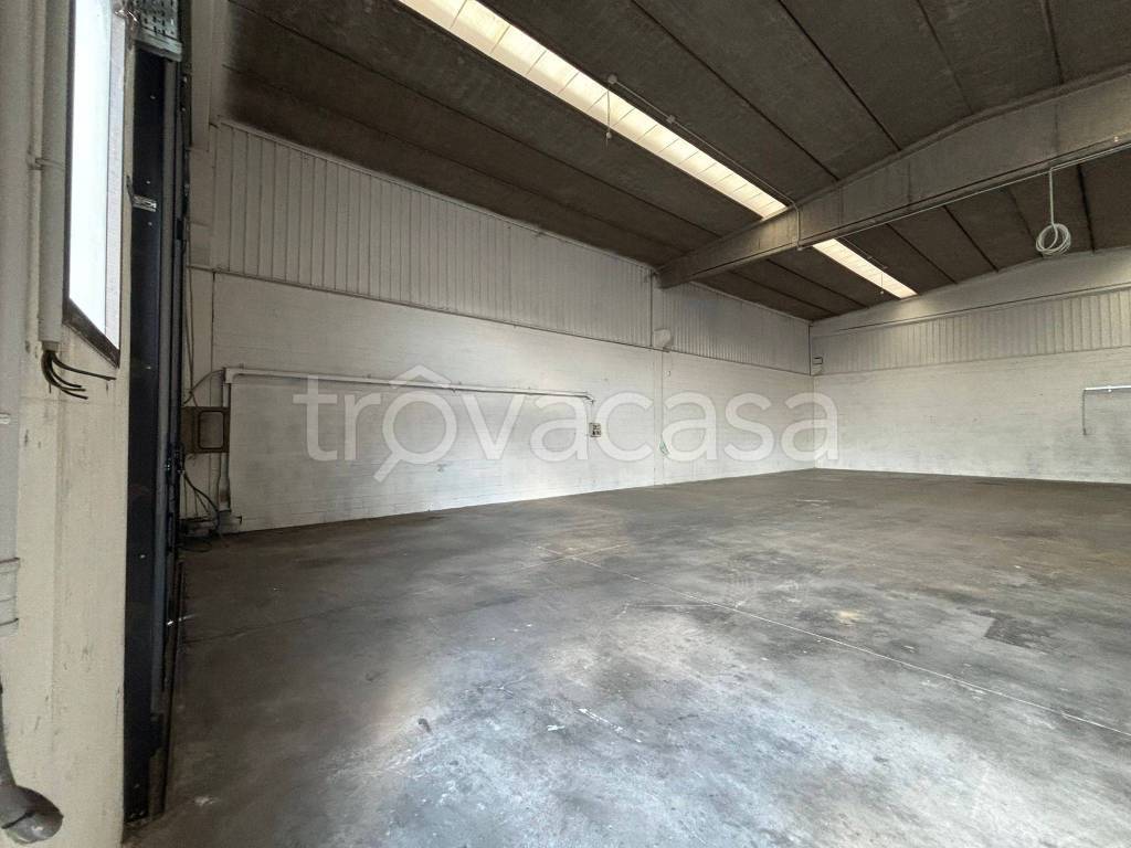 immagine annuncio 6 di 8