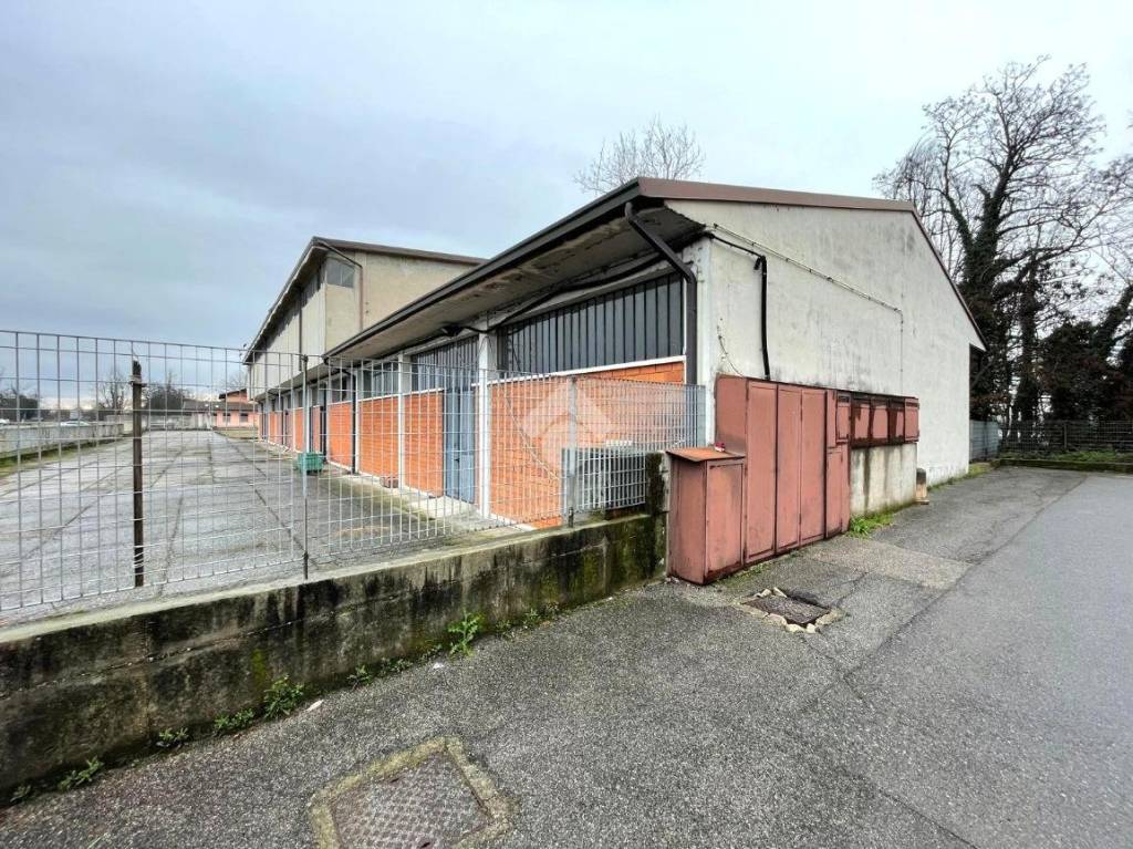 immagine annuncio 5 di 15