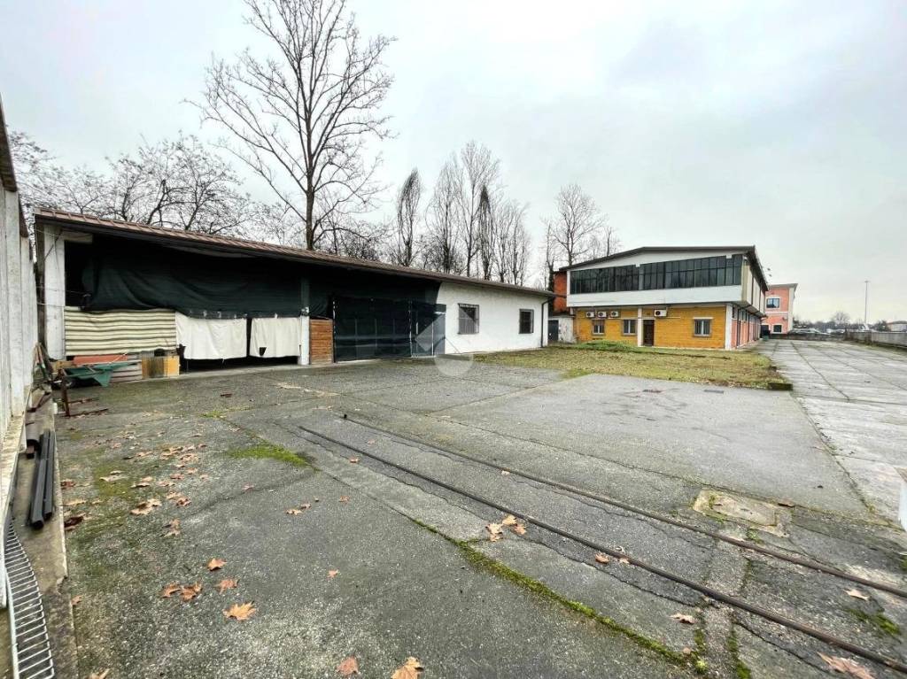 immagine annuncio 6 di 15