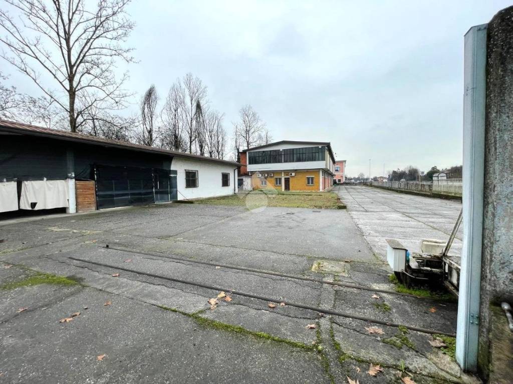 immagine annuncio 8 di 15