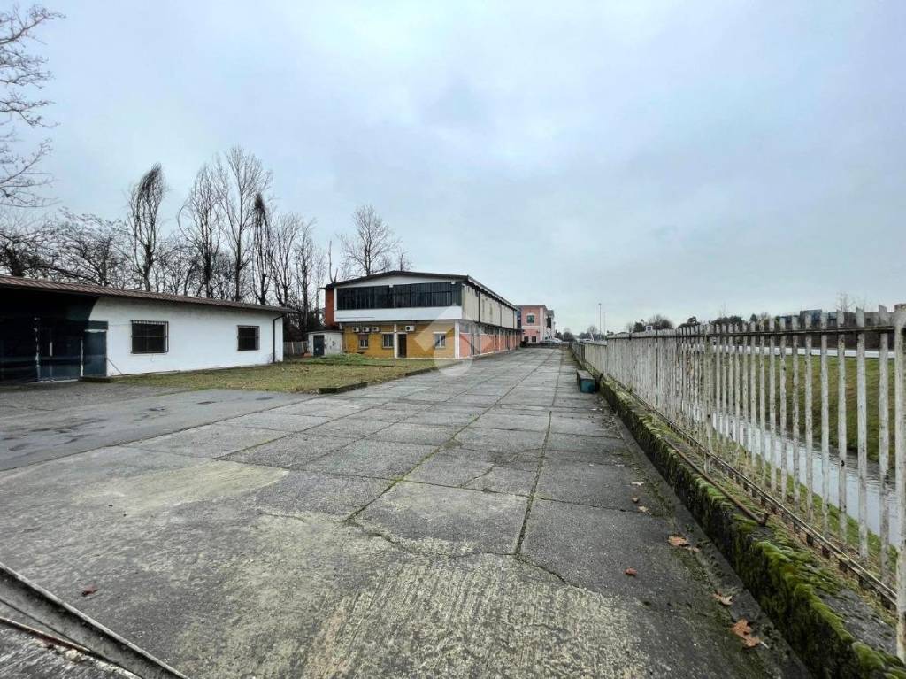 immagine annuncio 9 di 15