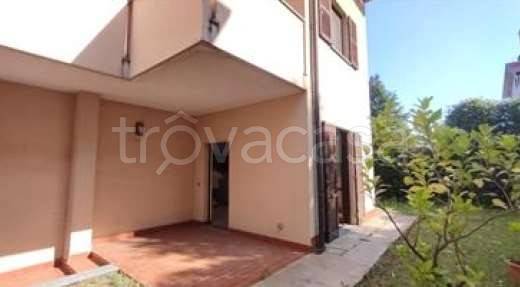 immagine annuncio 1 di 12