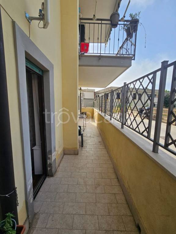 immagine annuncio 12 di 13