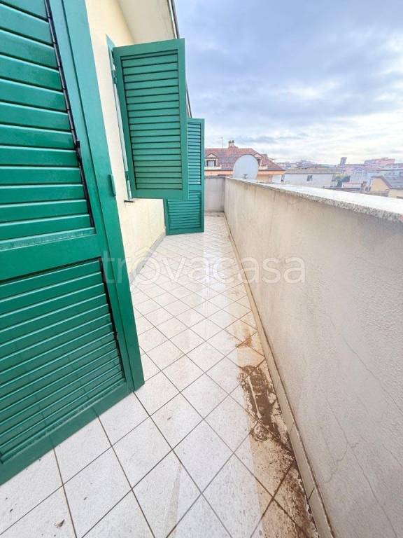 immagine annuncio 11 di 14