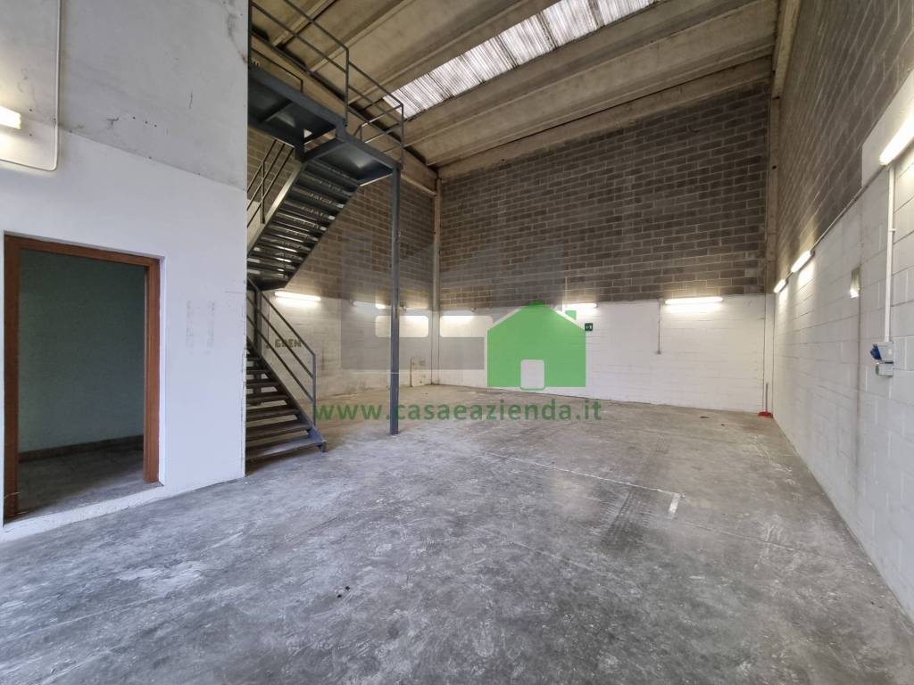 immagine annuncio 10 di 15