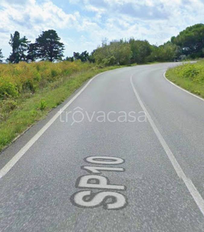 immagine annuncio 11 di 12