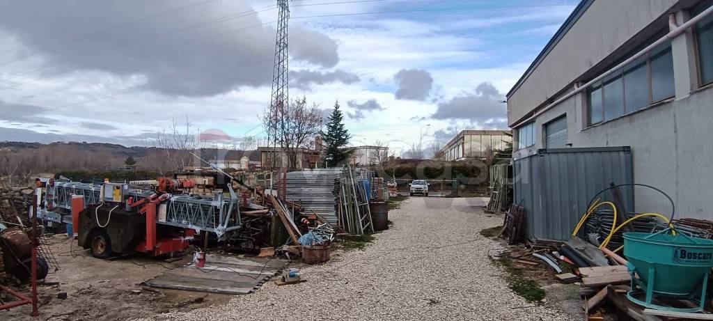 immagine annuncio 6 di 15