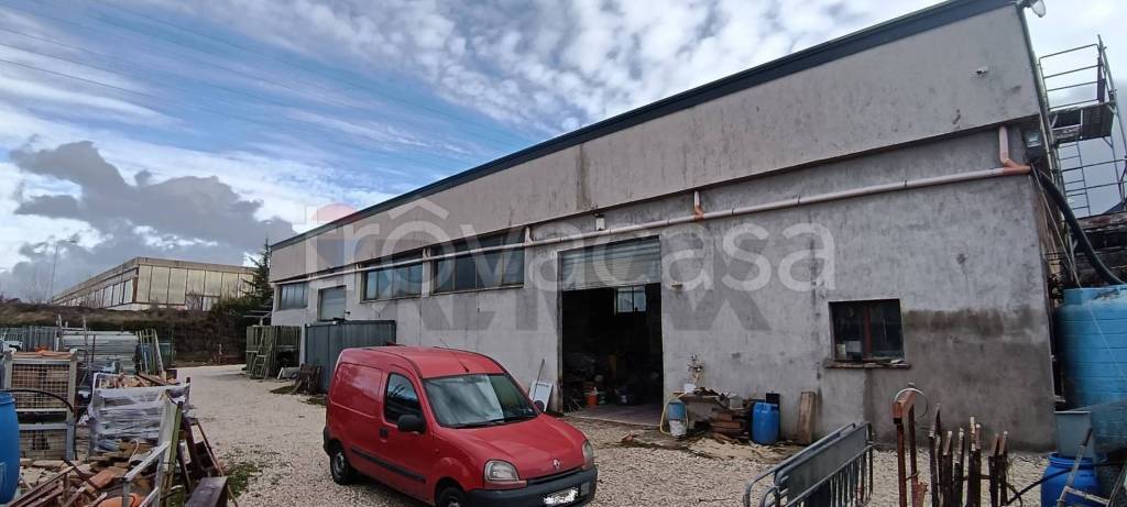 immagine annuncio 8 di 15