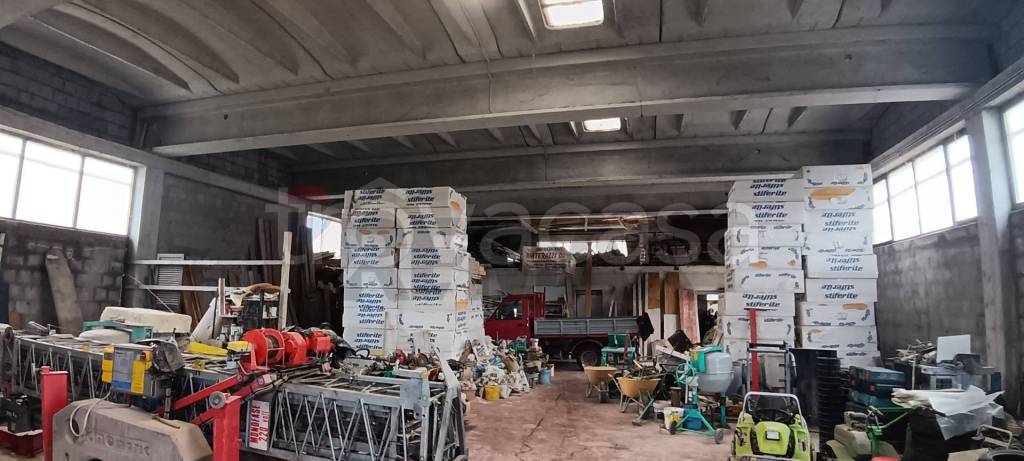 immagine annuncio 12 di 15