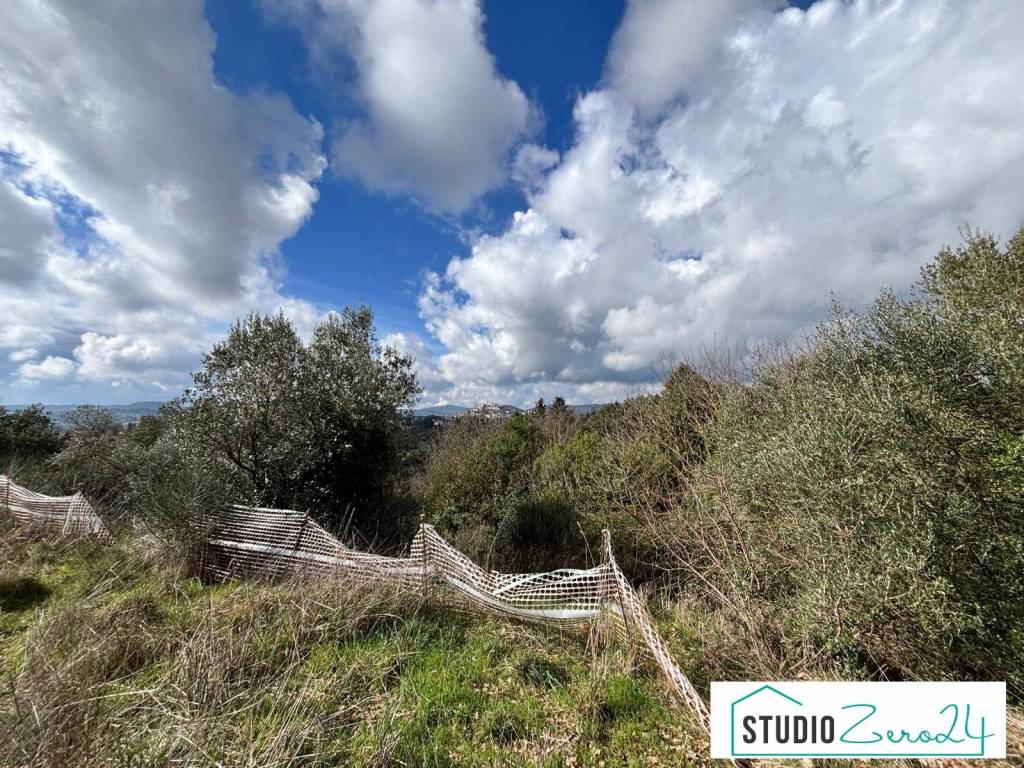 immagine annuncio 3 di 6