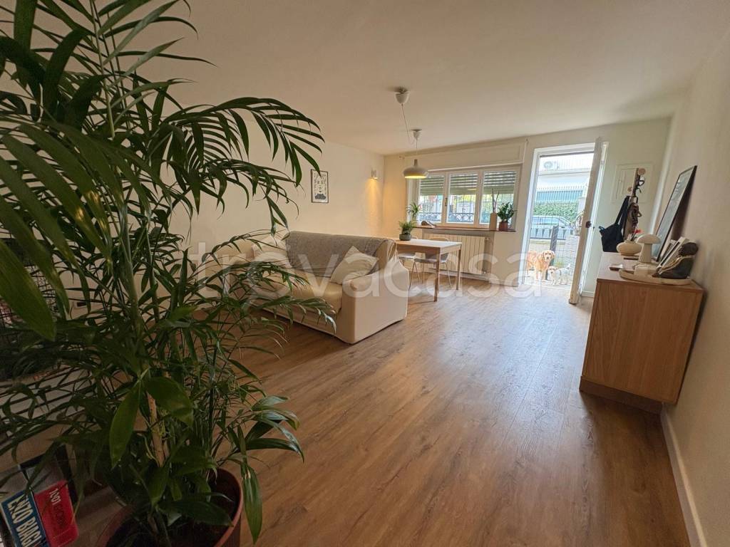 immagine annuncio 4 di 12