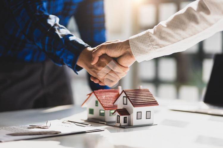 immagine annuncio 12 di 14