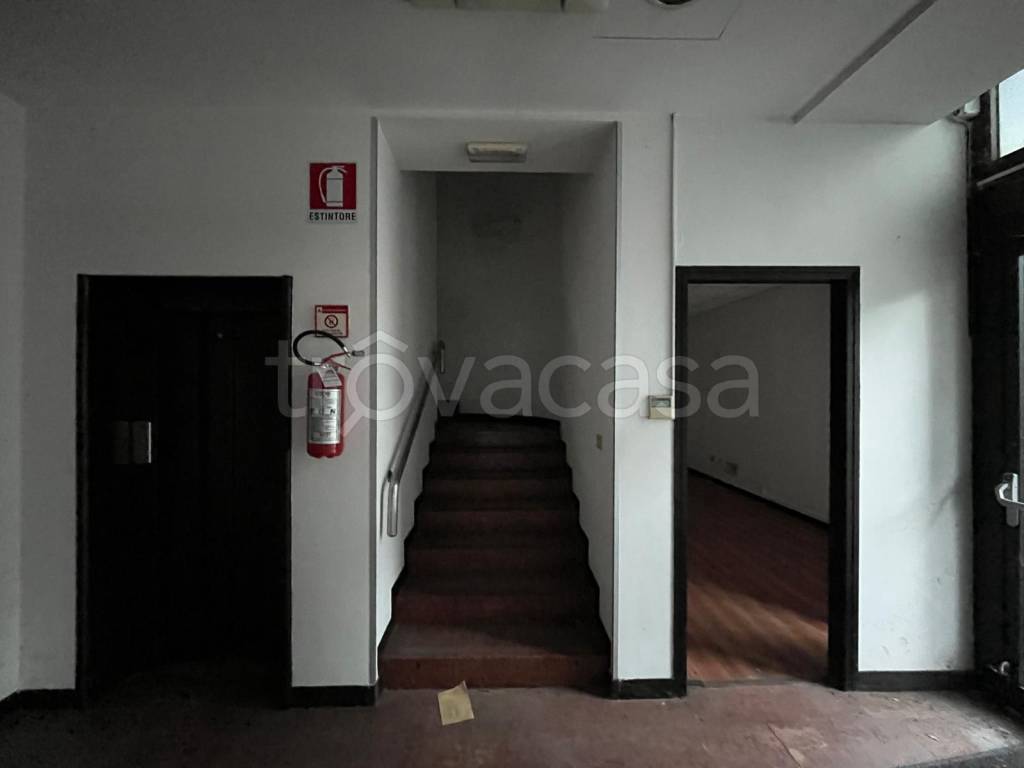 immagine annuncio 6 di 9