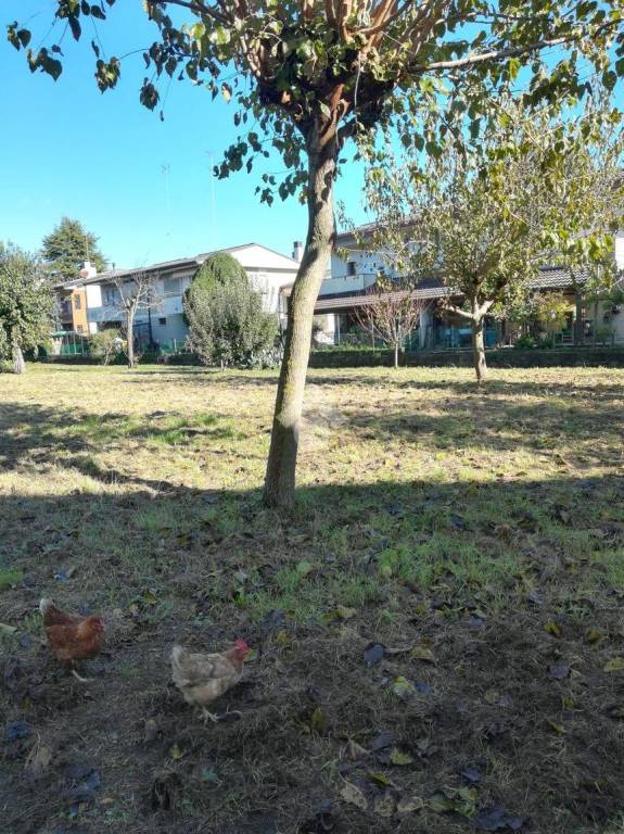 immagine annuncio 6 di 15