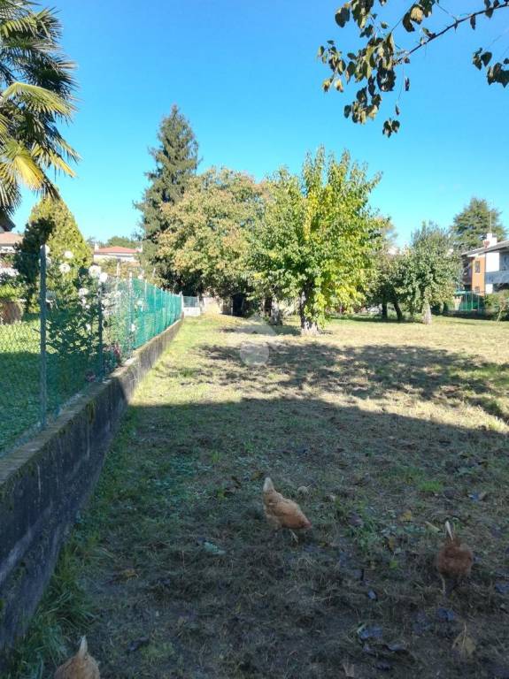 immagine annuncio 10 di 15