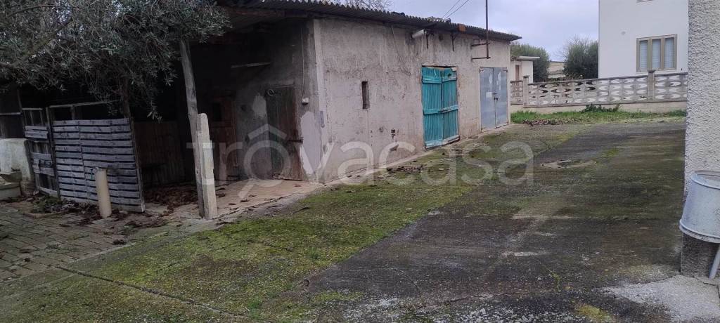 immagine annuncio 3 di 14