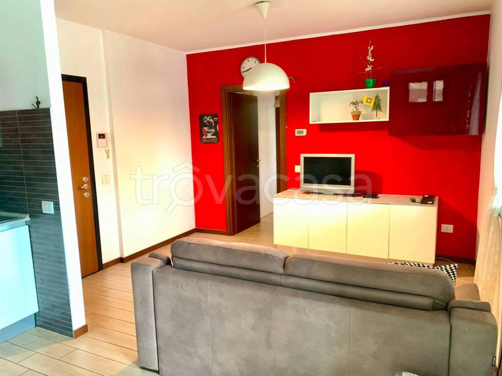 immagine annuncio 5 di 15