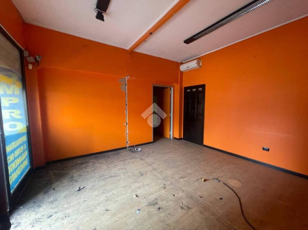 immagine annuncio 6 di 14