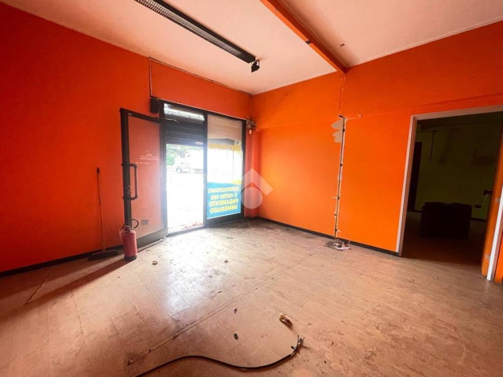 immagine annuncio 7 di 14