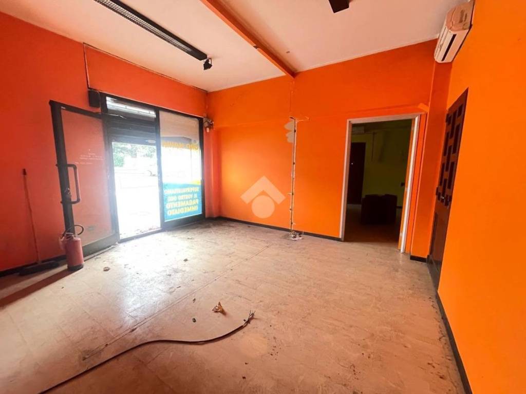 immagine annuncio 8 di 14