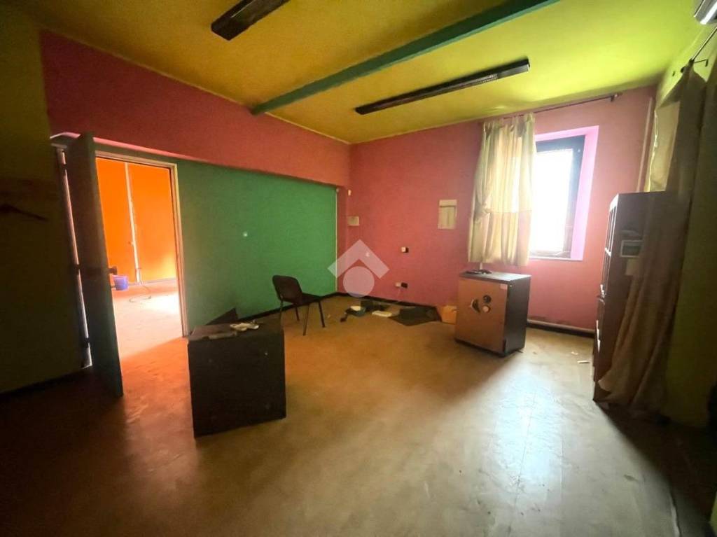 immagine annuncio 10 di 14