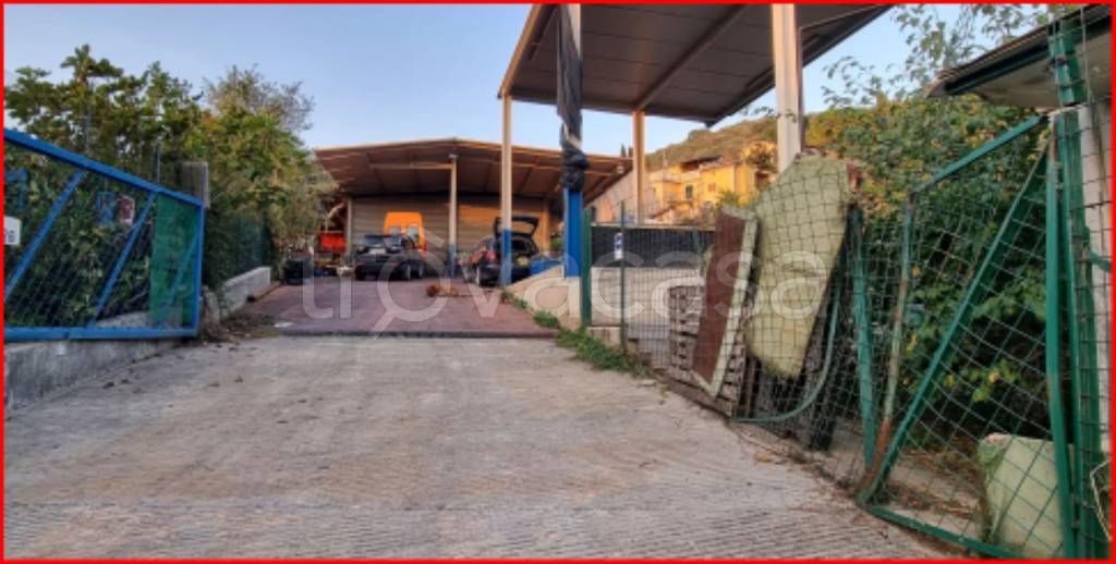 immagine annuncio 2 di 12