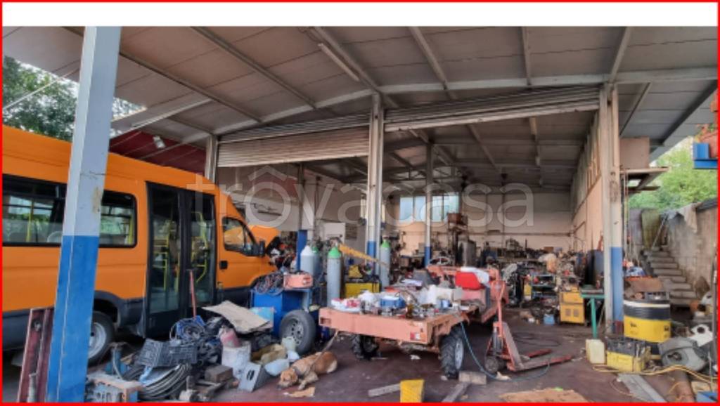 immagine annuncio 3 di 12