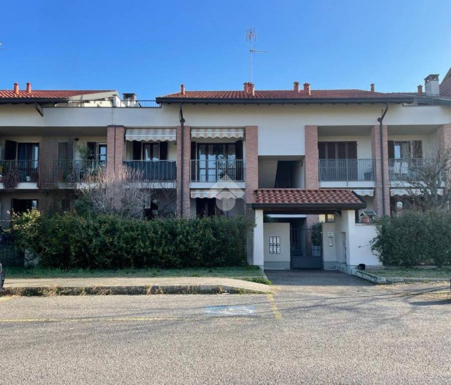 immagine annuncio 2 di 6