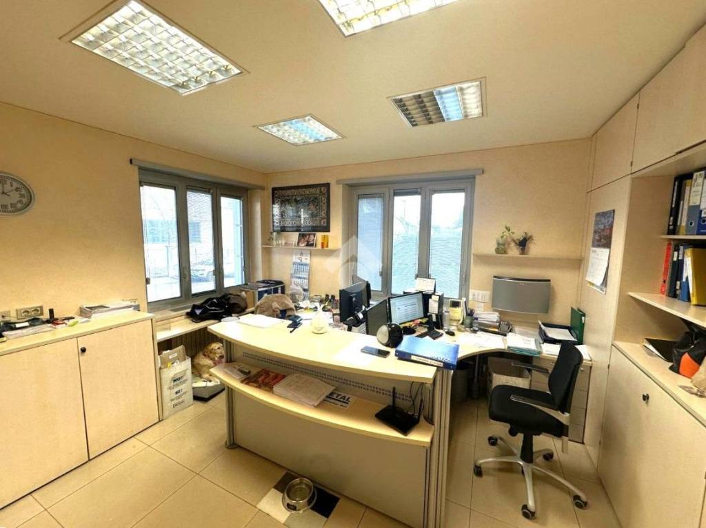 immagine annuncio 5 di 15