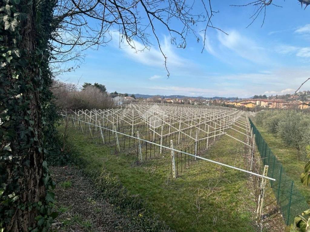 immagine annuncio 3 di 15