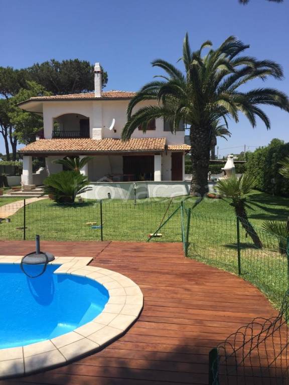 immagine annuncio 3 di 14