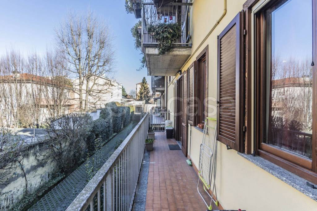 immagine annuncio 6 di 12