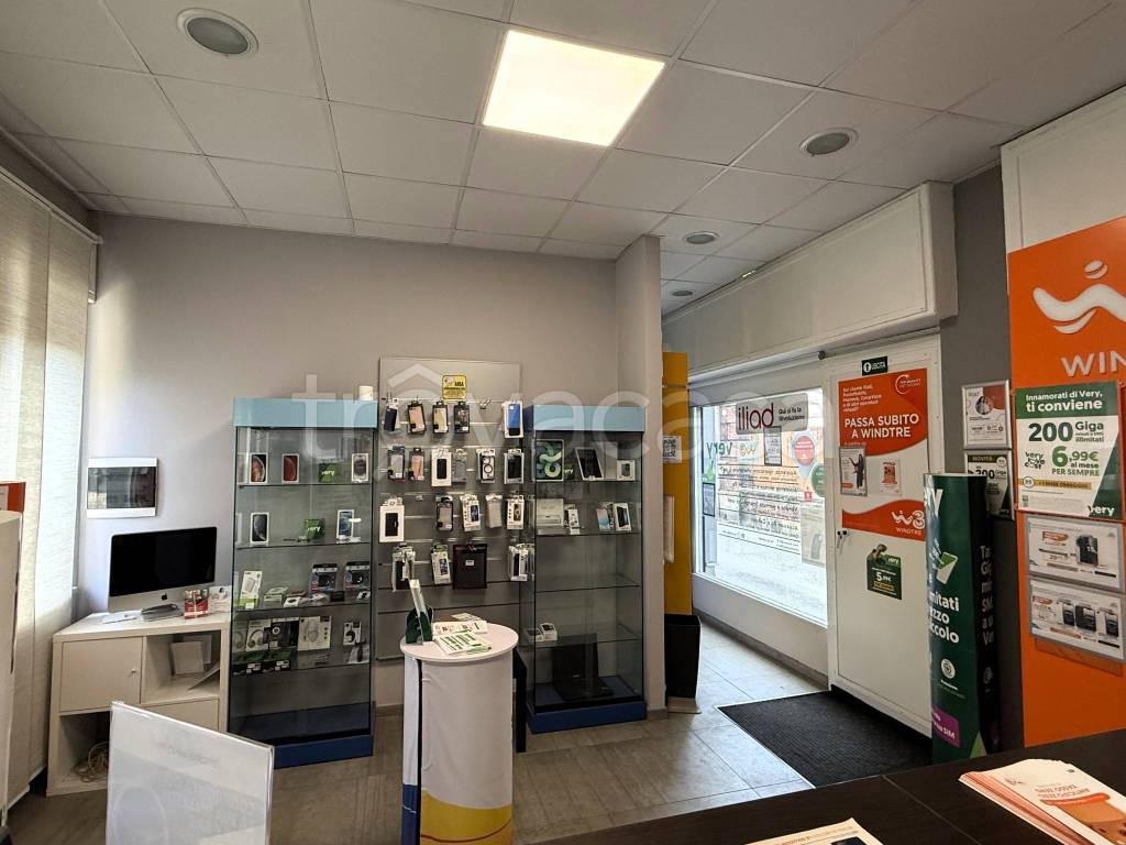 immagine annuncio 1 di 11