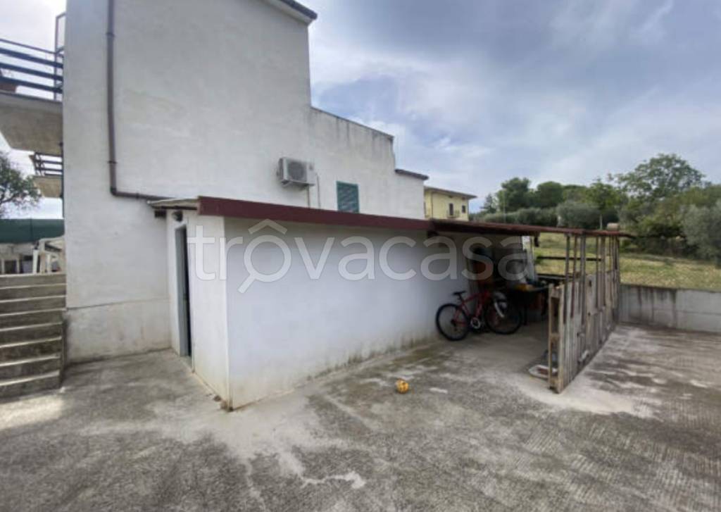 immagine annuncio 2 di 11