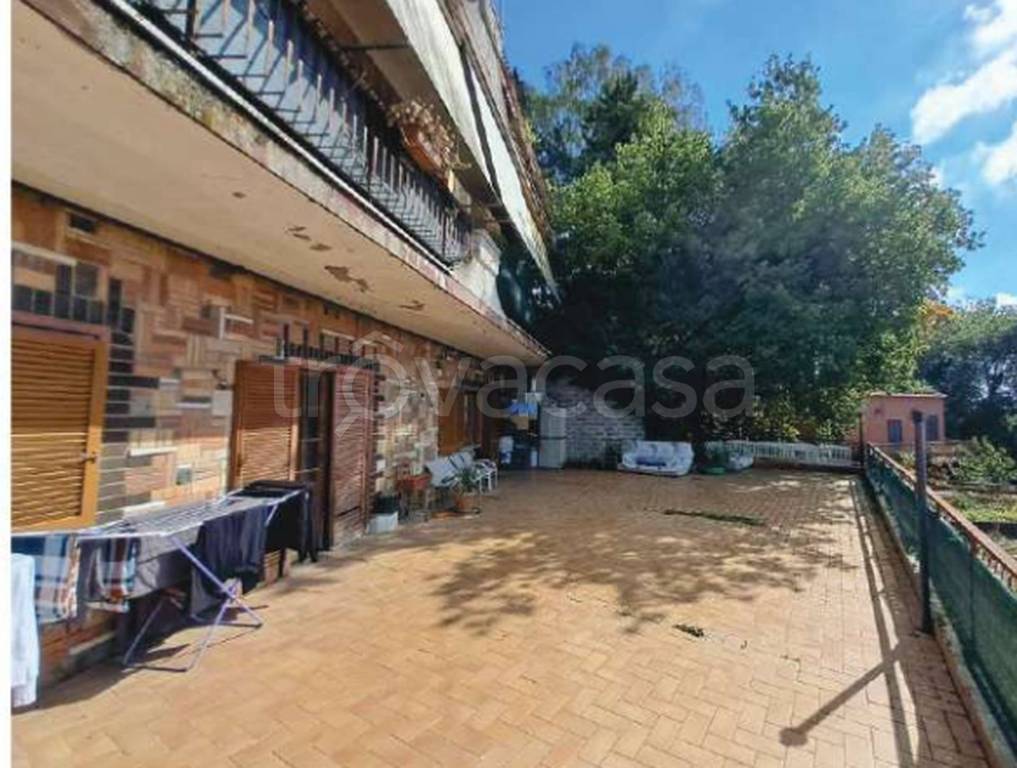 immagine annuncio 4 di 11