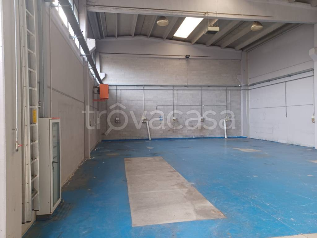 immagine annuncio 6 di 8