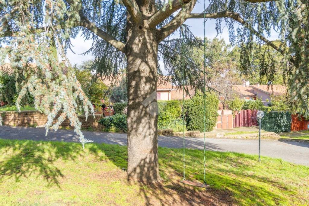 immagine annuncio 5 di 8