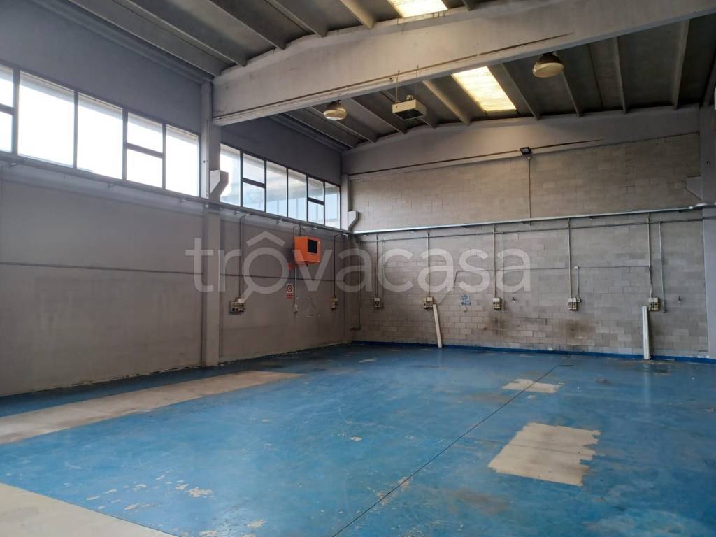 immagine annuncio 7 di 8